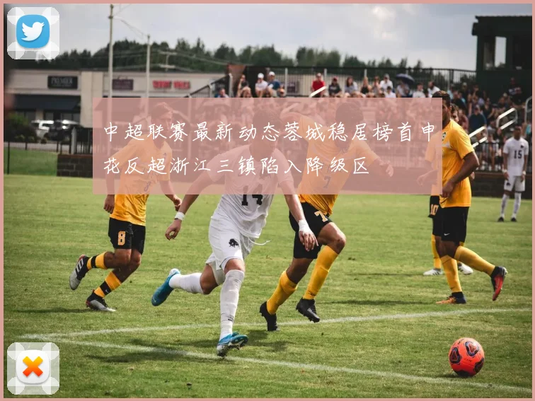 中超联赛最新动态蓉城稳居榜首申花反超浙江三镇陷入降级区
